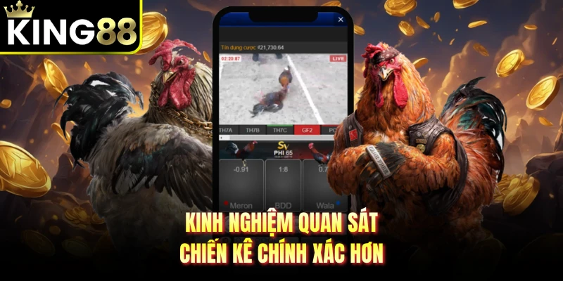 Kinh nghiệm quan sát chiến kê chính xác hơn 