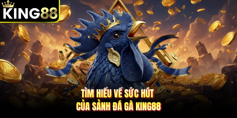 Tìm hiểu về sức hút của sảnh đá gà KING88